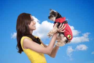 Knoc004104 dog armor knockdown coat l 55cm ruglengte insect shield 8