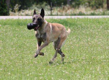 Kongk3e kongk2e kongk1e konguxle kongukke1 1